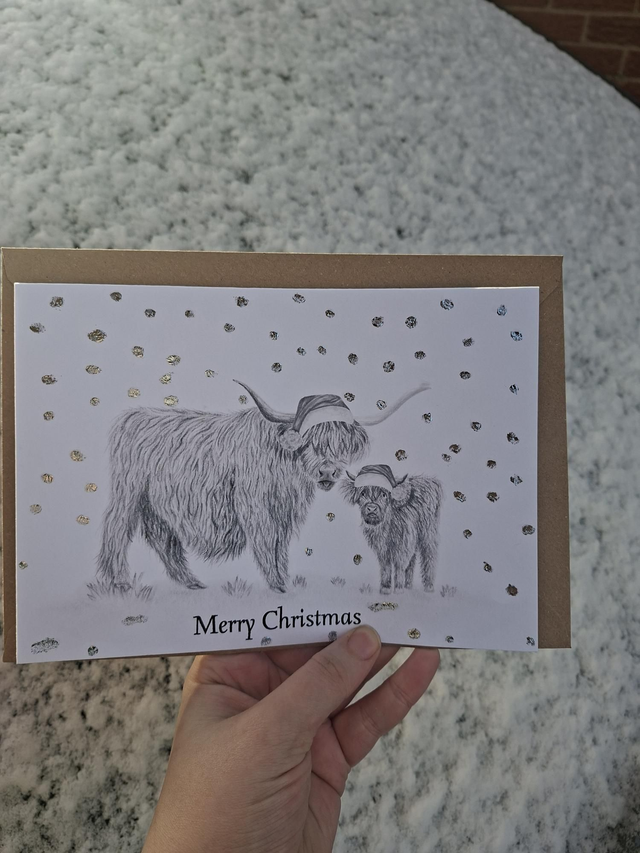 Christmas Coo Foiled Christmas Greetings Card