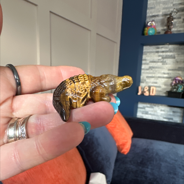 Tigers Eye Crocodile 