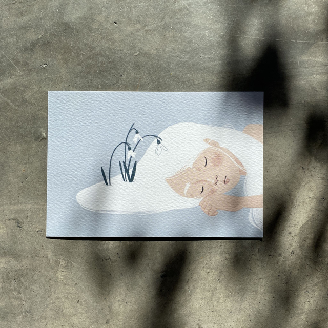 Stampa A6 - Bucaneve