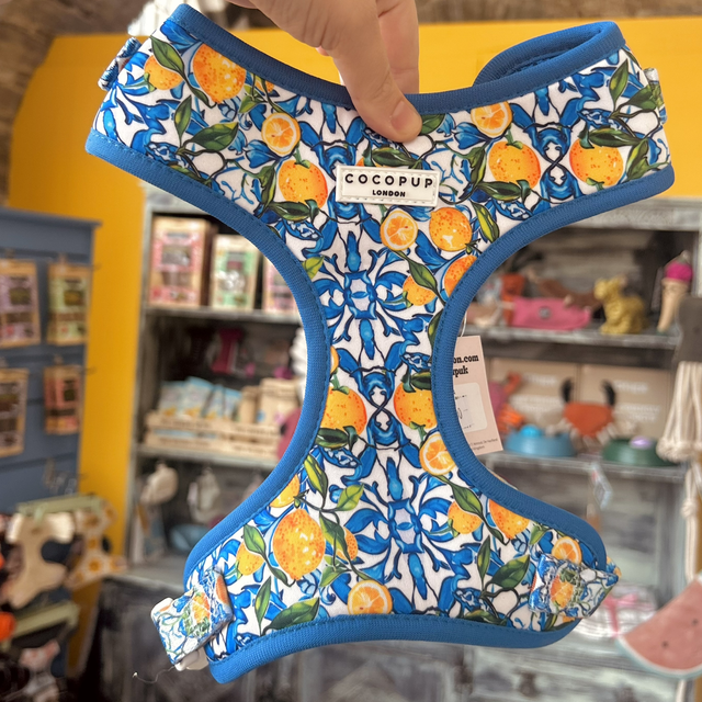 Cocopup London Amalfi Lemon Adjustable Neck Harness - Medium