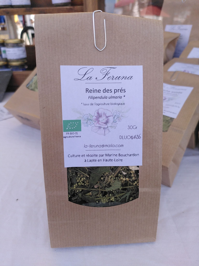 Reine des près