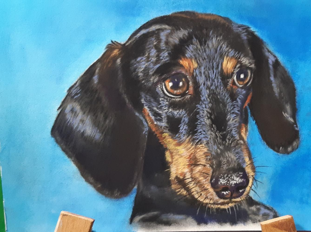 Daxie Blue original pastel painting