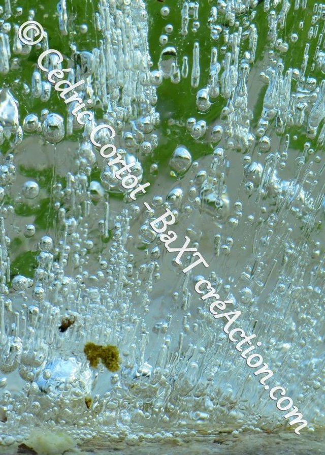 Carte postale - Paysages et divers (Ref IMG_8378)