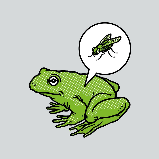 Frog & Fly