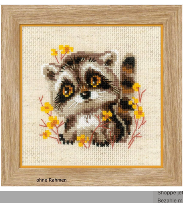 Kleiner Waschbär