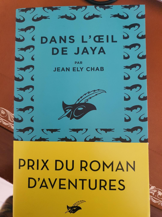 Dans l'œil de jaya