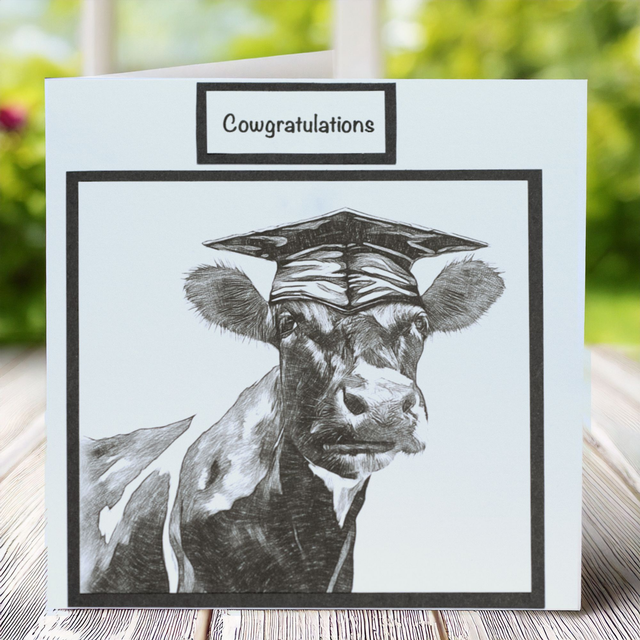 Quirky Cow ‘Cowgratulations’ Graduation card. 135mmx135mm. Fun design with a Cow in a Graduation cap. (1)