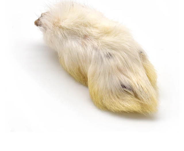 Natural Rabbit Feet/Rabbit Paws - Natural Wormer