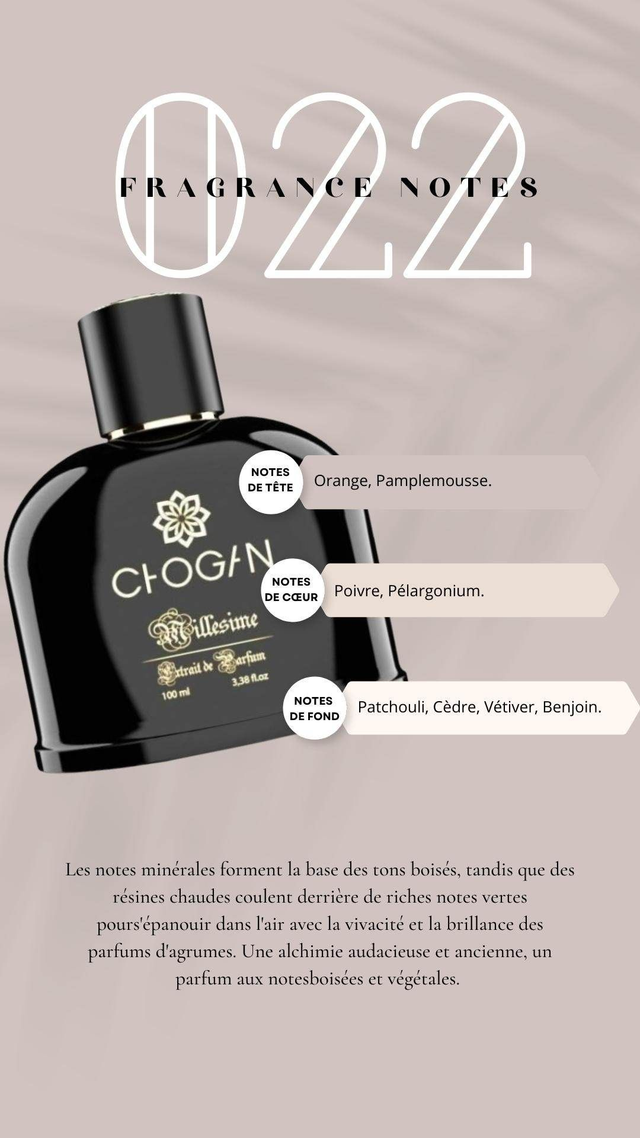 N° 022 Parfum  Qui offre une interprétation captivante qui éveille les sens et laisse une empreinte mémorable 100 ML 