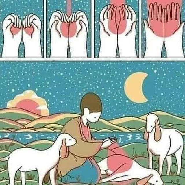 Harmonisation énergétique animaux 