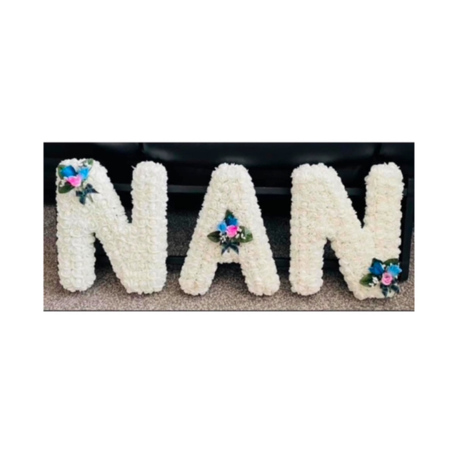 Nan Tribute