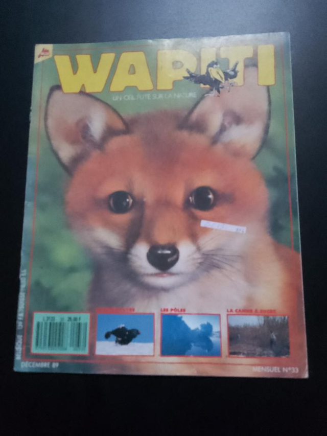 Un oeil futé sur la Nature - Wapiti - n33