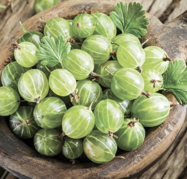 30% off Amla capsules