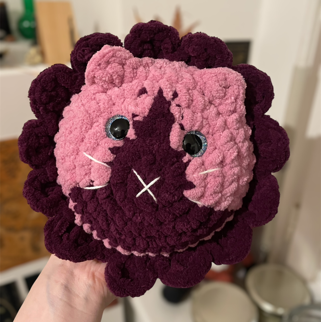 Chat pétales de fleur 