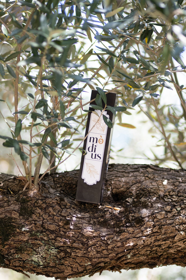 Box Natale - Olio Novello 250 ml con scatola