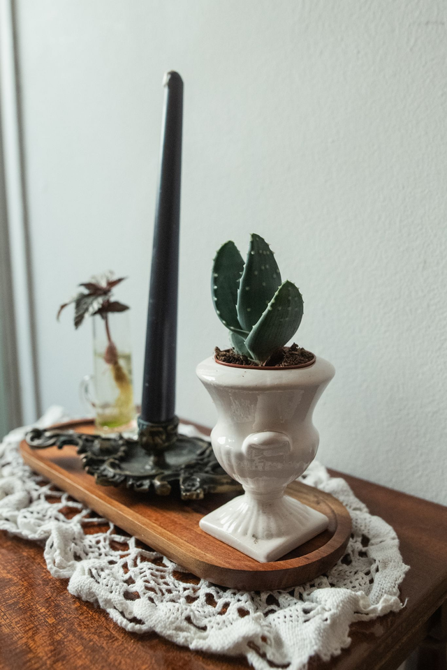 Mystic Box - Xmas Kit 🎀