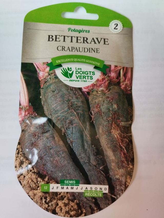 Betterave Crapaudine