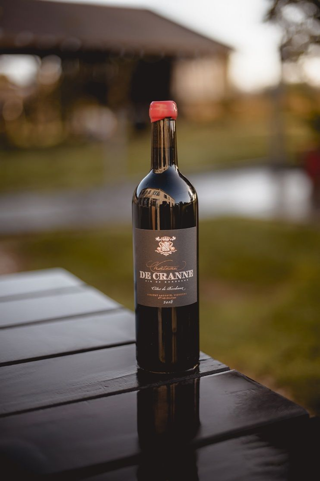 Château de Cranne Côtes de Bordeaux 2019 bio