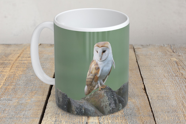“Barn Owl” Mug  