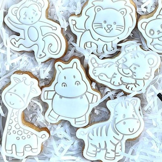 Coffret Animaux de la Jungle à colorier