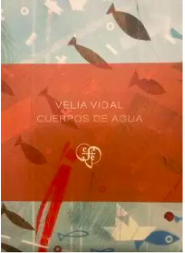 Cuerpos de agua - Velia Vidal