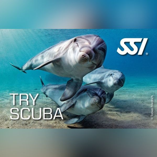 Schnuppertauchen im See