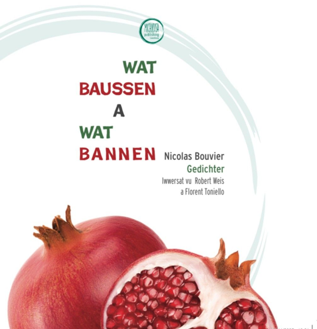 Nicolas Bouvier - Wat baussen a wat bannen