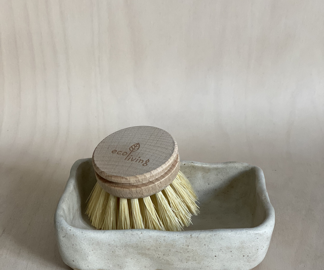 Dish brush dish 