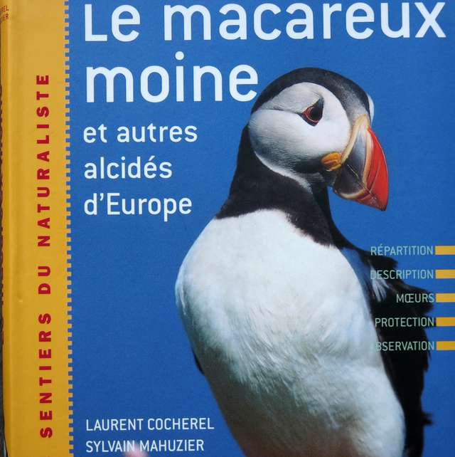 La macareux moine