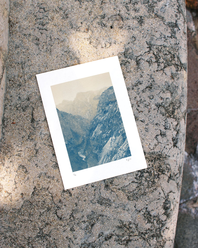 LANDSCAPE n°1  - Cyanotype duotone- Tirage artisanal_small