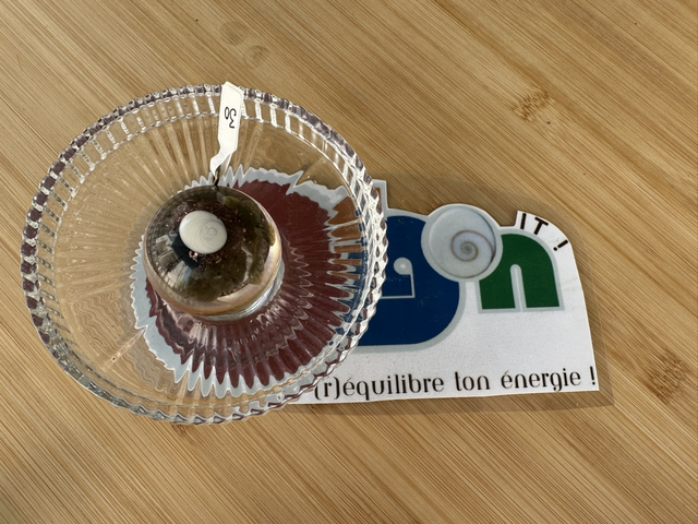 Orgon’it n*30 (taille moyenne) labradorite 432 Hz