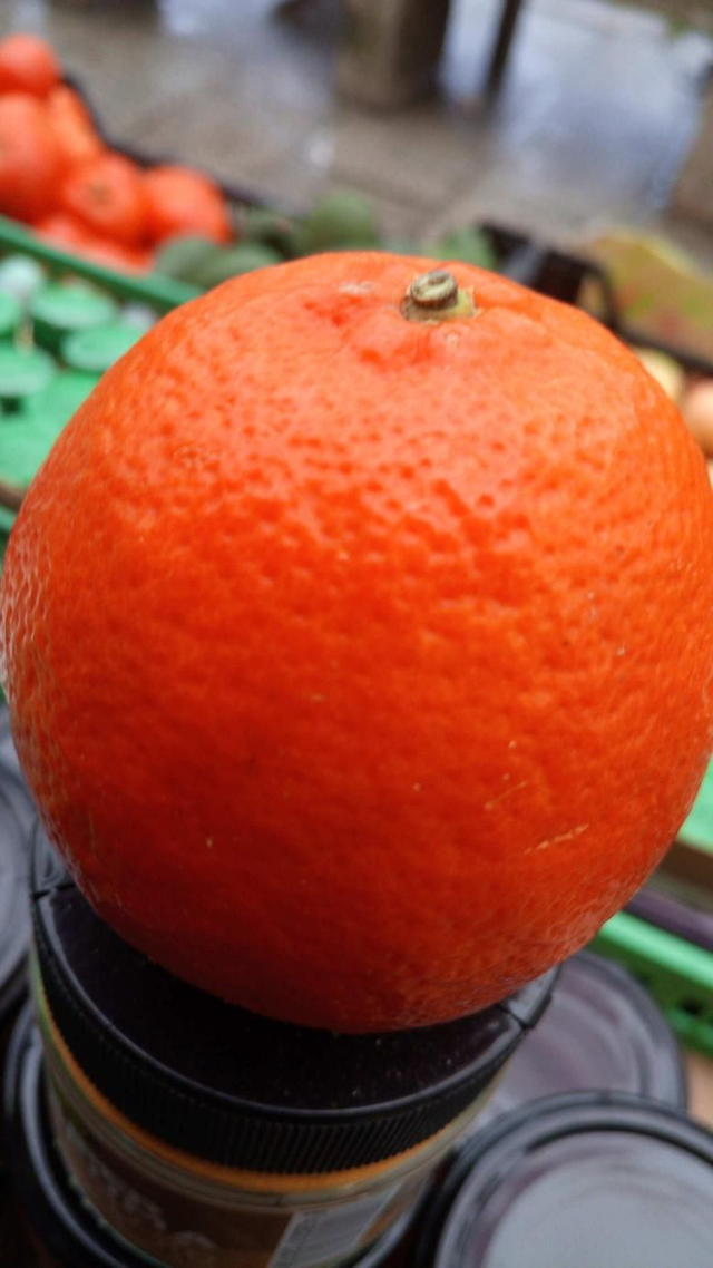 Mandarina clemenule