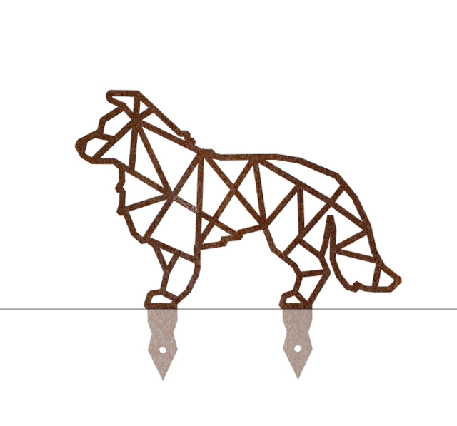 Chien berger australien corten