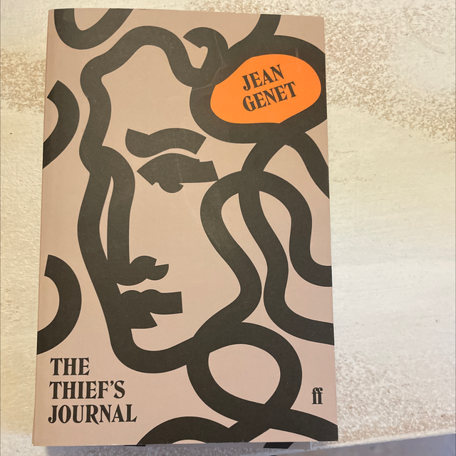 The Thief’S Journal Jean Genet