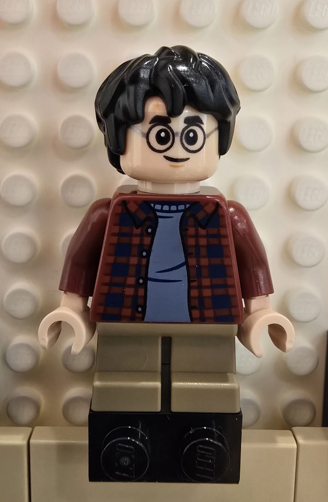 LEGO hp481 Harry Potter Minifigur