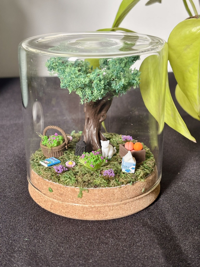 đ Terrarium verre 10cm - Ădition Ă©tĂ©