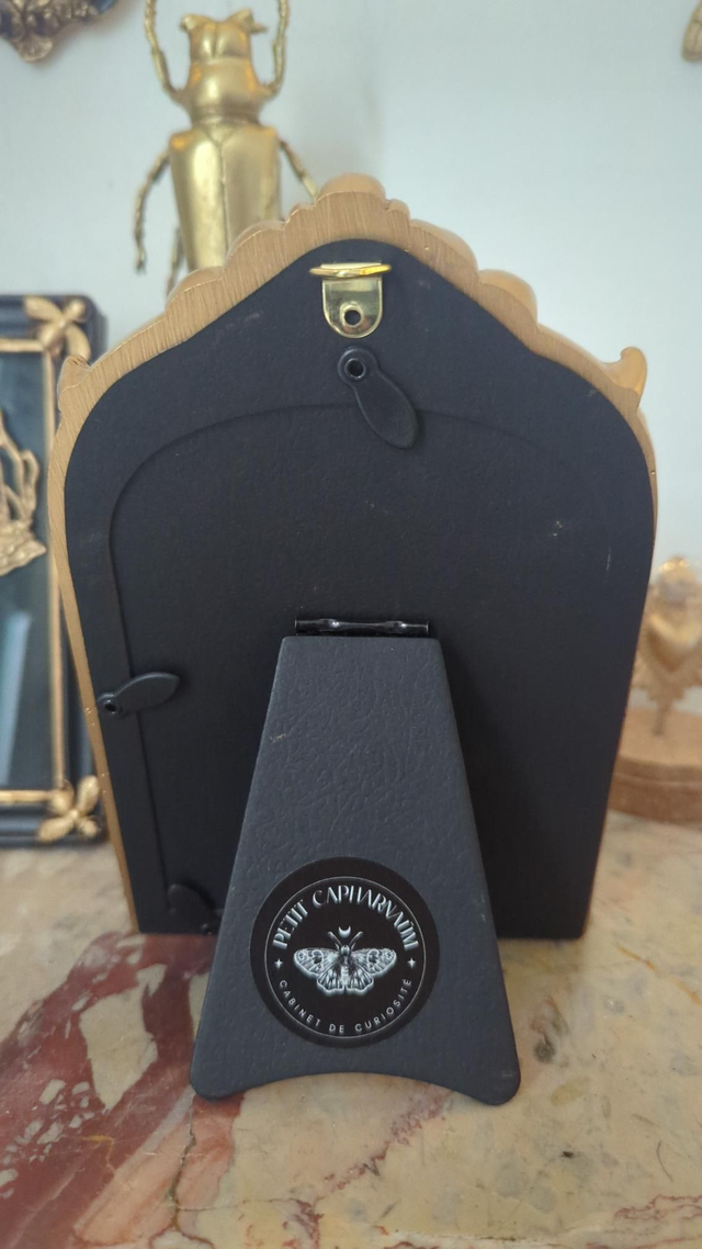 Cadre en arche dorée - papillon de nuit