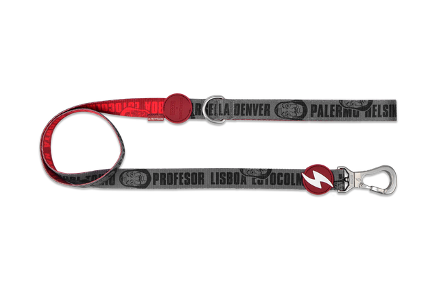 LCDP Melted leash