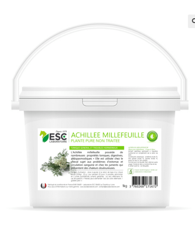 ACHILLEE MILLEFEUILLE – Troubles hormonaux et confort digestif cheval – Plante pure