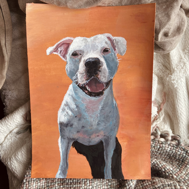 A4 Pet Portrait / Animal Portrait - Simple Background - Unframed