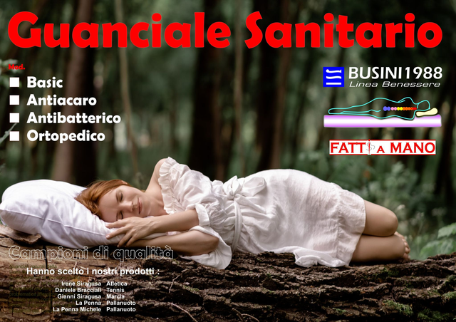 Guanciale Sanitario FIBRA ANTIACARO