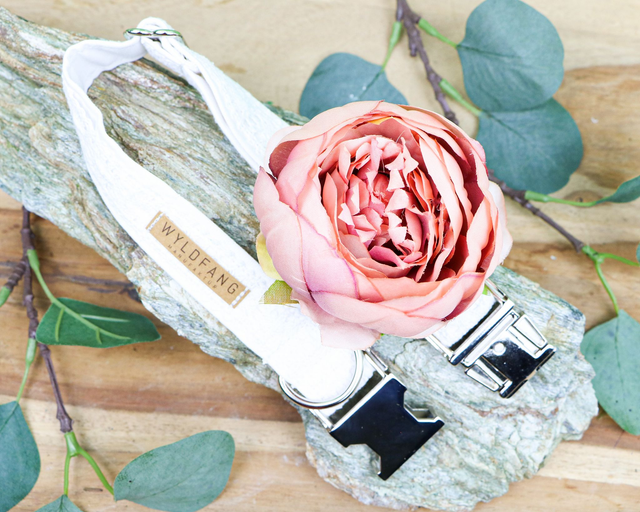 Hochzeits-Hundehalsband mit Spitze und abnehmbarer Blütenapplikation mit altrosa Pfingsrose