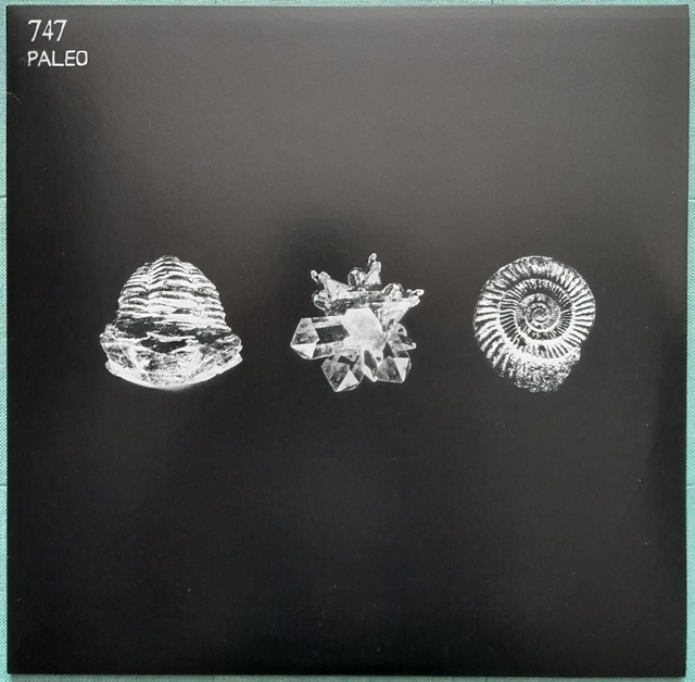 747 - Paleo - AQR010 - 2x12"