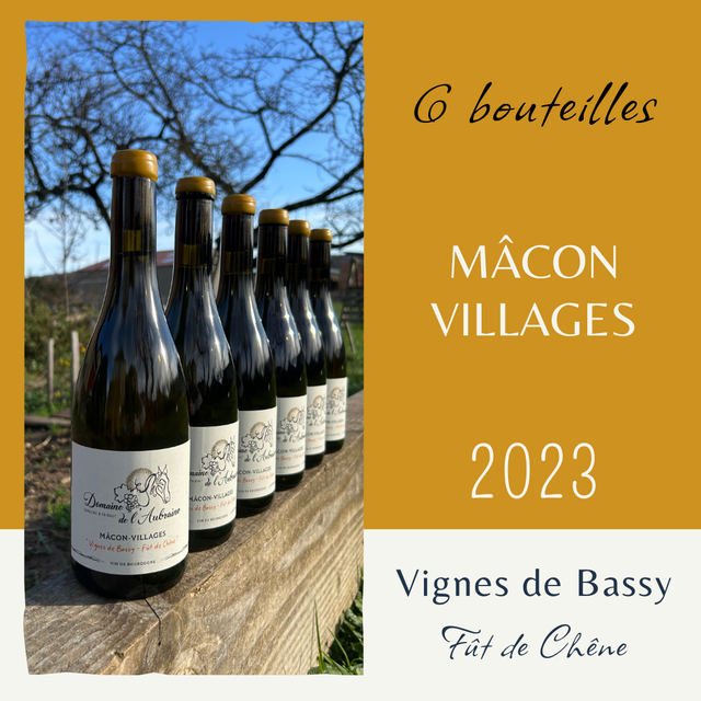 6 Btes Vignes de Bassy 2023