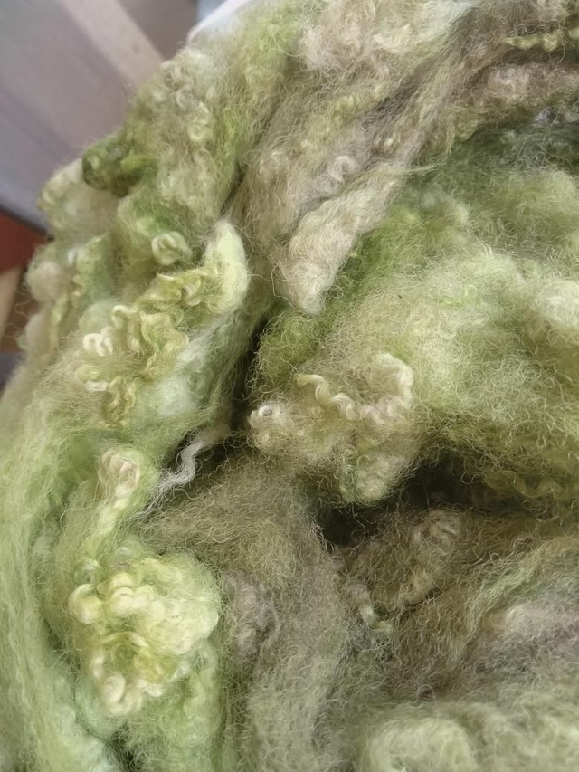 Toison006 Blue Faced Leicester 110g