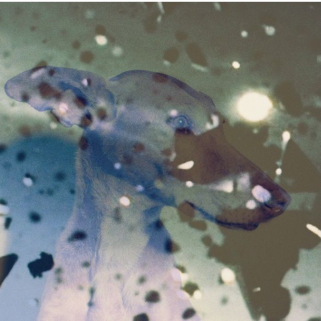 YCR – From the End of the Pleiades