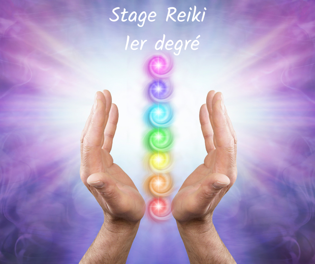 stage reiki 1er degré