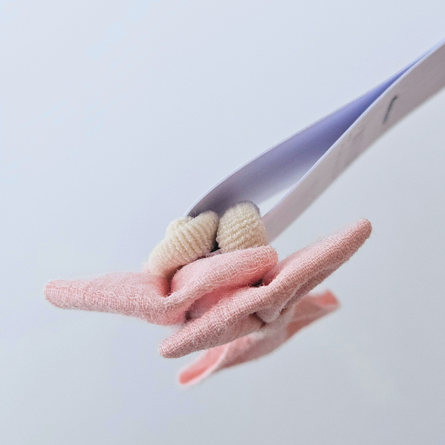 MInicolet Par Rosa Liso