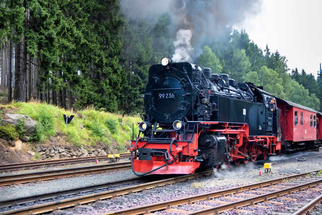 Treno a vapore