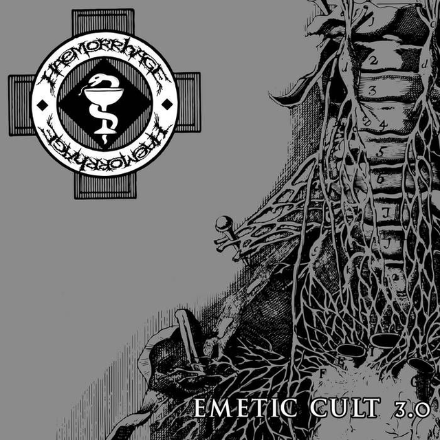 HAEMORRHAGE : Emetic Cult 3.0 (1995 : repress 2025) LP